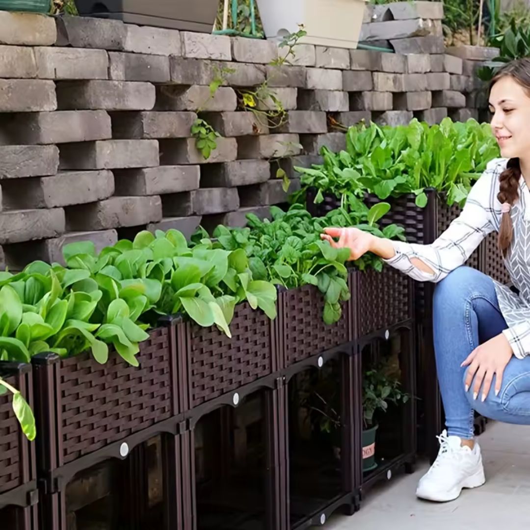 Cama de Jardín Elevada 3 Puestos